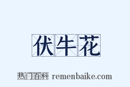 伏牛花是什么意思的图片